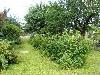 Maison : Jardin