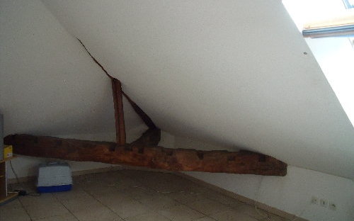 Coquet T2 + Mezzanine : Salon