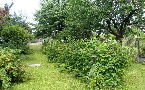 Maison : Jardin