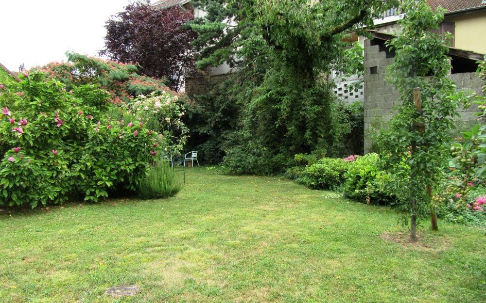 maison ancienne : TERRAIN CLOS ET ARBORE  TRES CHALEUREUX