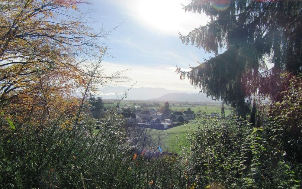 villa de plain pied : vue exterieur